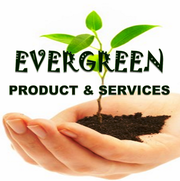 Require Fresher Female / male Executive in EVERGREENProduct