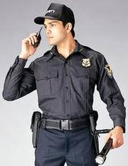 Blue Force Security Group(panipat)
