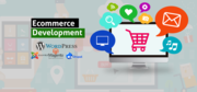 Acquire E-Commerce Websites Through E-Commerce Development Company in 