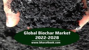 Global Biochar Market 2022-2028